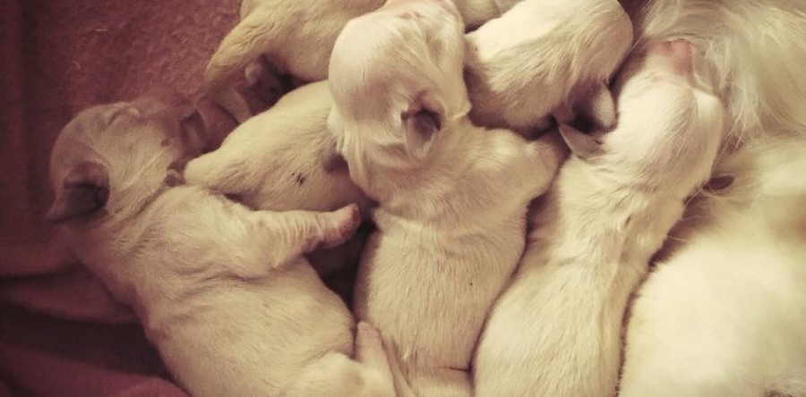 Der Morgen danach….