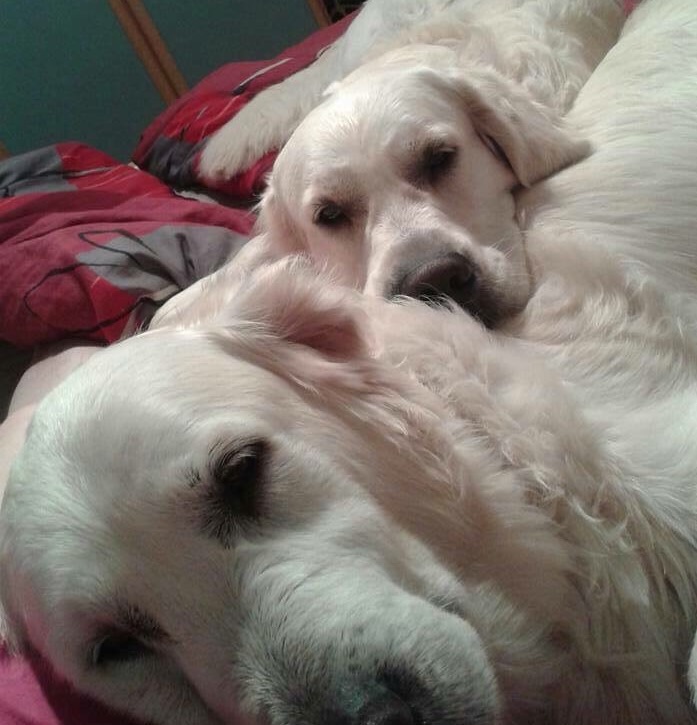 Luca hat’s geschafft!