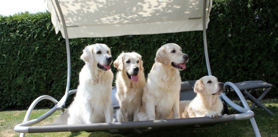 Samstagsausflug zu Sunya & Shadow