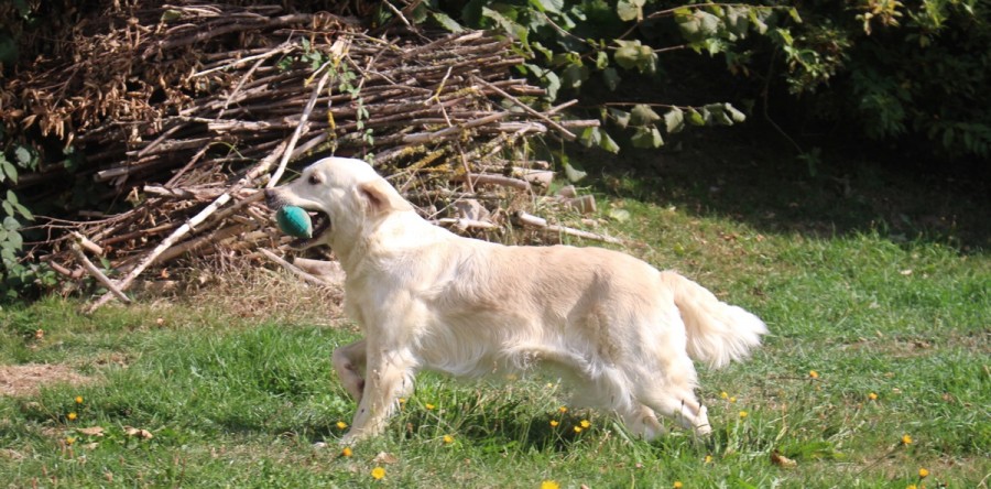 3.10.15 Es tut sich was…