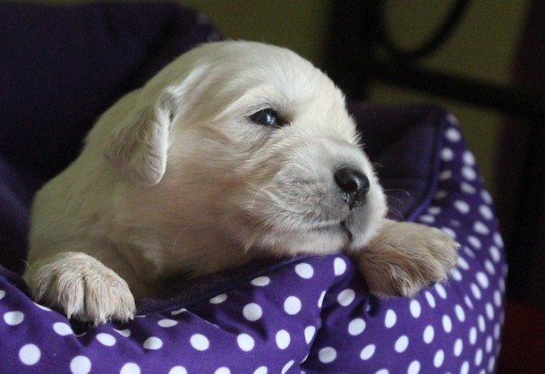 Now let me introduce you…..