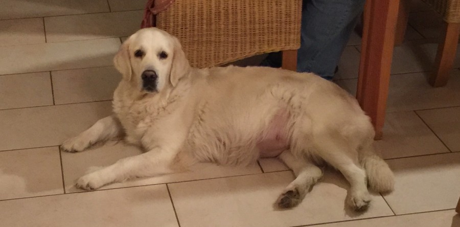 4.12.15 – noch 10 Tage