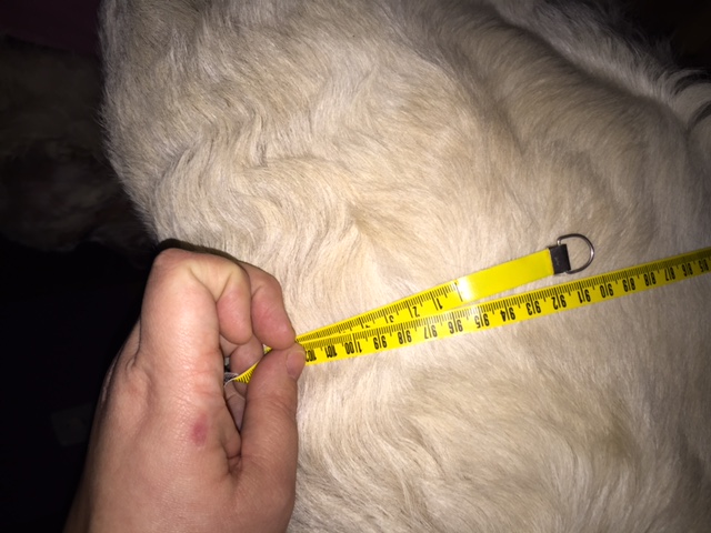 9.12.15 – noch 5 Tage