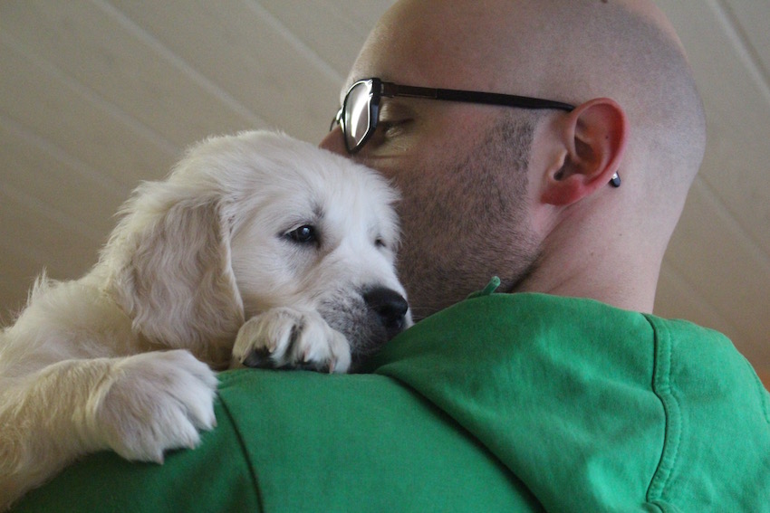 Unser Q- Wurf im Alter von 7 Wochen