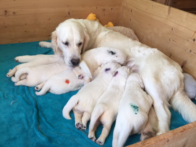 Unsere Q-chen in Woche 3