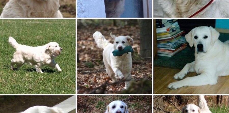 Time to say Good Bye