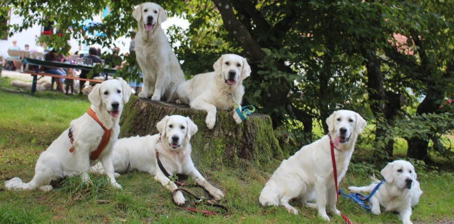 Latest News… 16.10.2016